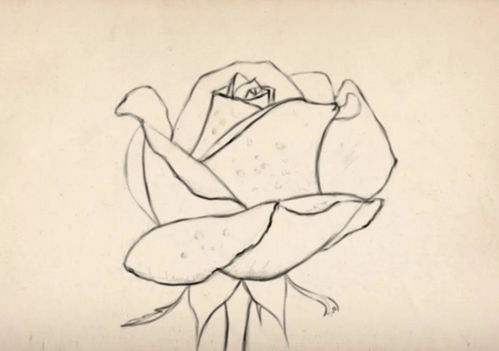 华为电脑画画怎么画好看(华为电脑绘画技巧,如何画出精美的画作) 华为电脑画画怎么画好看(华为电脑绘画技巧,如何画出精美的画作)