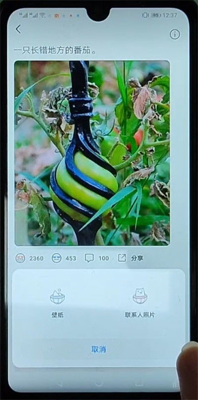 华为手机怎么截电脑屏幕(华为手机如何截电脑屏幕，方法与步骤详解)