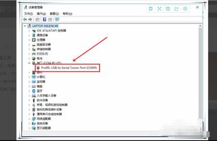 华为怎么查电脑IP(华为电脑IP地址查询方法详解)