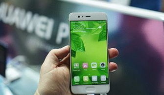 华为手机机型怎么查询 华为手机机型怎么查询
