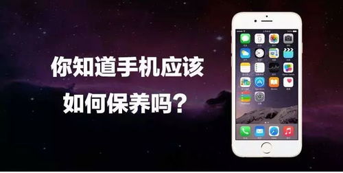 新华为手机怎么养护