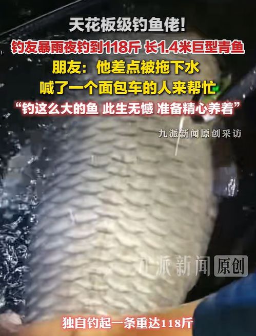 钓友暴雨夜钓到118斤巨型青鱼 钓友暴雨夜钓到118斤巨型青鱼