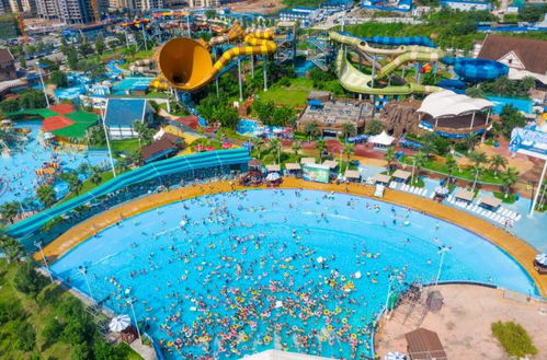 恐怖游戏鲸鱼游戏攻略 VS 龙征服游戏攻略
