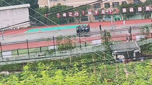 乘客称乘G2056遇多次停车最后换车 乘客称乘G2056遇多次停车最后换车