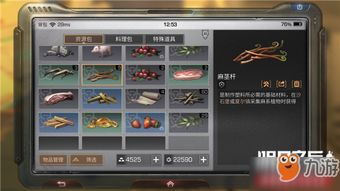 游戏升档攻略 VS 神偷物语游戏攻略 游戏升档攻略 VS 神偷物语游戏攻略
